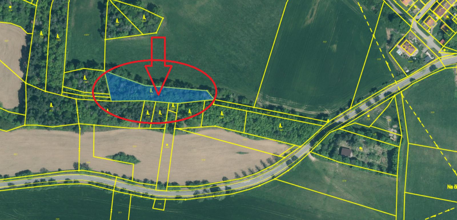 Prodej lesa 2 163 m² – pohled 2