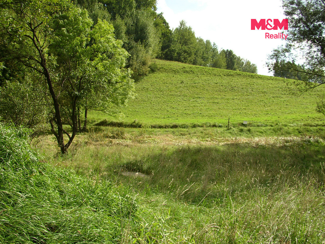 Prodej louky 2 749 m² – fotografie 5