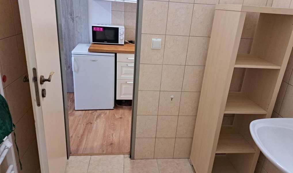 Pronájem bytu 1+kk 25 m², Jámy – náhled fotky 5
