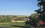 Ostatní