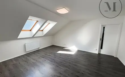 Pronájem bytu 1+1 59 m², Puklicova, České Budějovice - České Budějovice 3