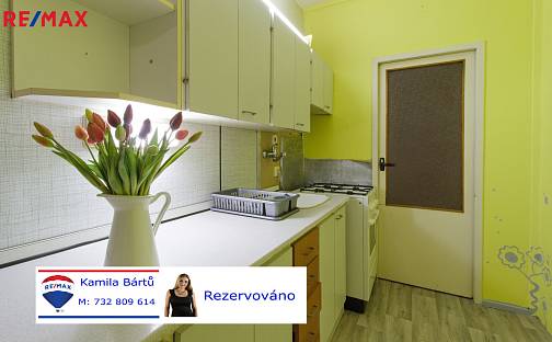 Pronájem bytu 2+1 66 m², Petrohradská, Tábor