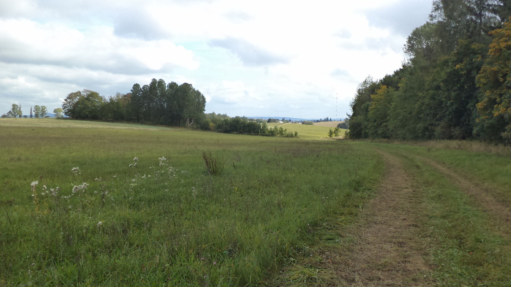 Prodej pole 5 912 m² – fotografie 4
