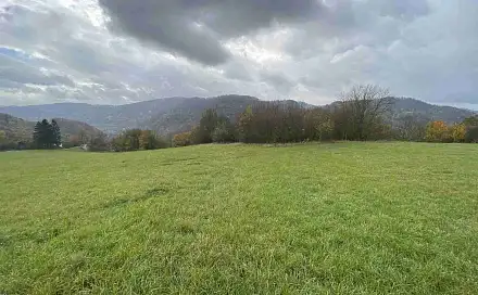 Prodej pozemku 4 431 m², Děčín - Děčín XXVII-Březiny