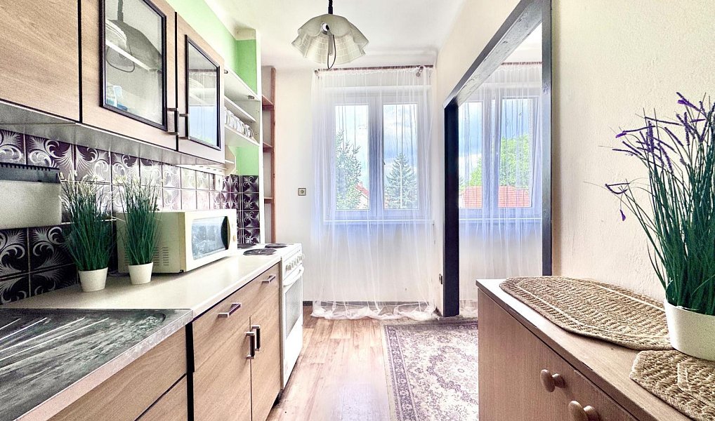 Prodej bytu 3+1 64 m², Chotěšice – náhled fotky 3