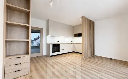 Pronájem bytu 1+kk 31 m², Řepova, Brno - Horní Heršpice