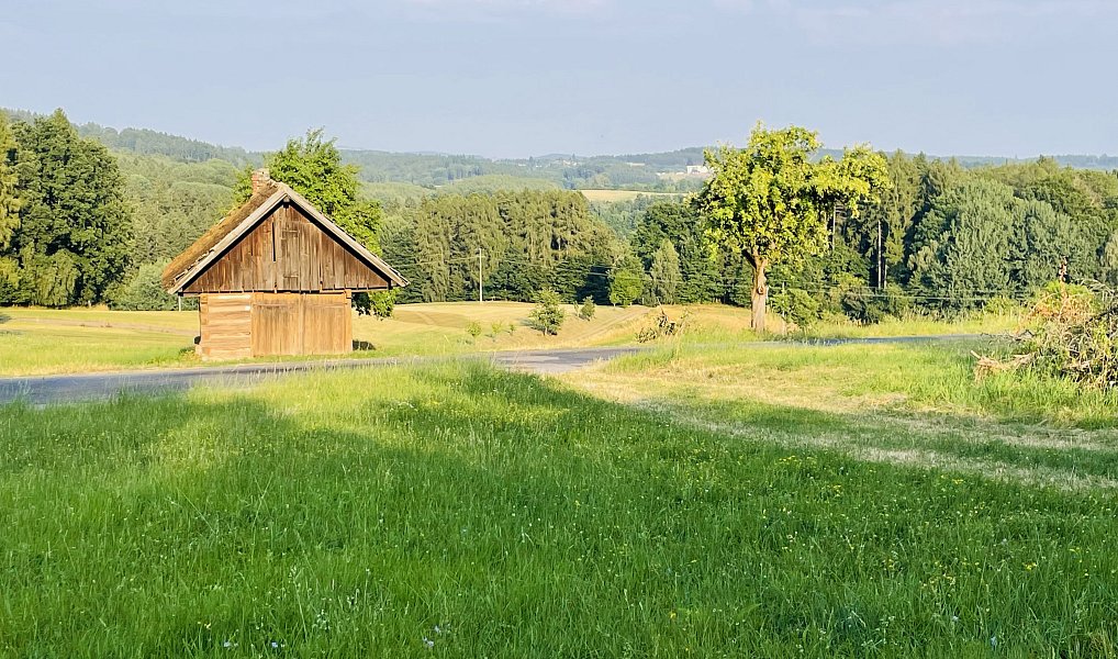 Prodej chaty/chalupy 600 m² s pozemkem 9 782 m², Úbislavice – náhled fotky 19