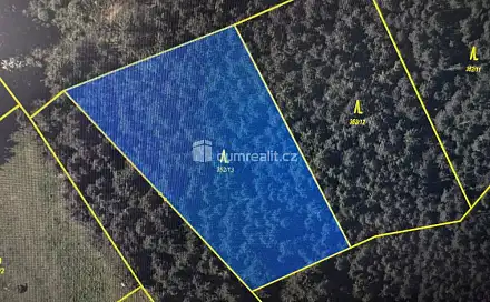 Prodej lesa 4 147 m², Nebahovy - Jelemek, okres Prachatice