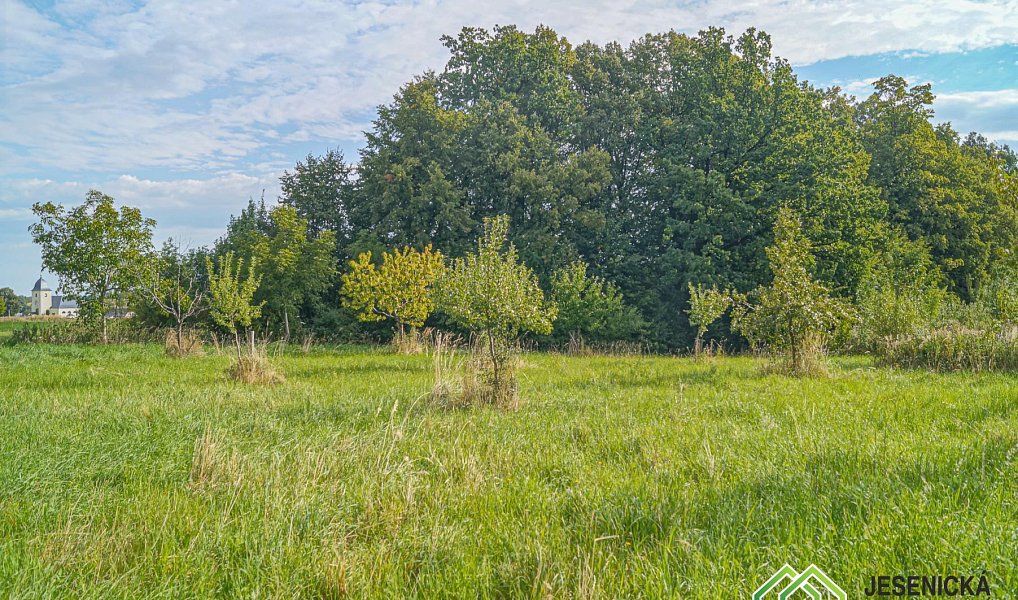 Prodej pole 16 809 m², Velké Kunětice – náhled fotky 14
