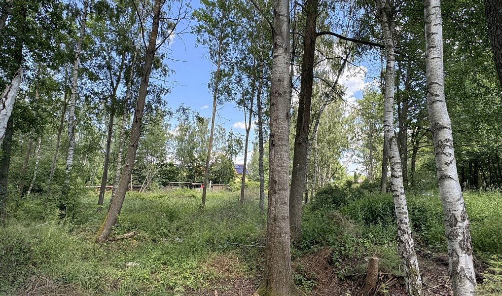 Prodej pozemku 3 000 m², Karlovy Vary – náhled fotky 2