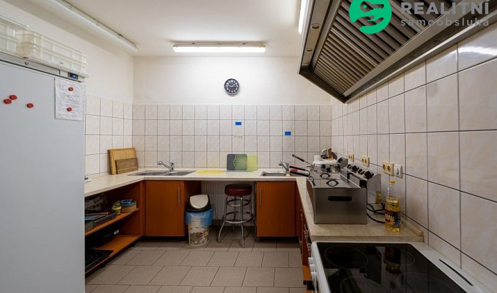Prodej ubytovacího objektu 340 m², Brandýs nad Orlicí – náhled fotky 9