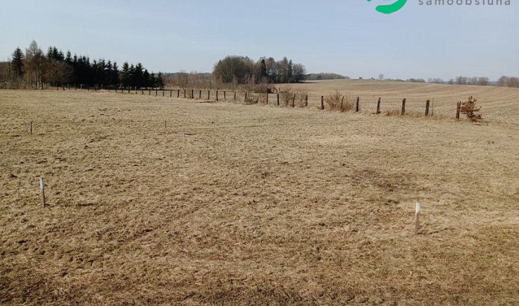 Prodej stavebního pozemku 1 138 m², Františkovy Lázně – náhled fotky 2