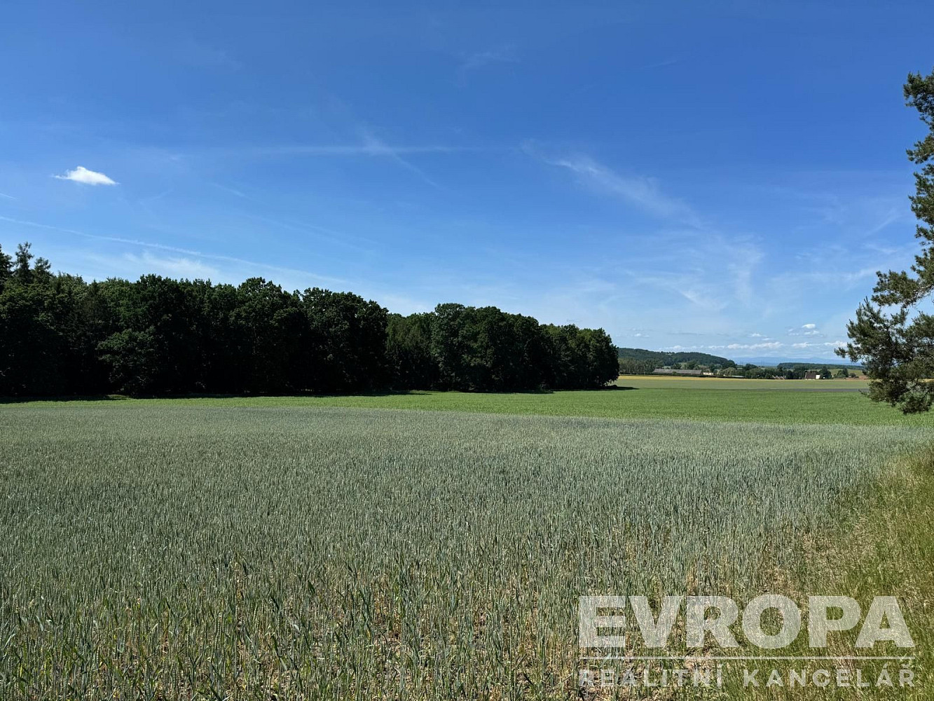 Prodej pole 7 494 m²