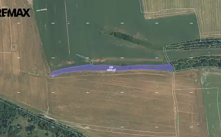 Prodej pole 4 736 m², Stříbro, okres Tachov