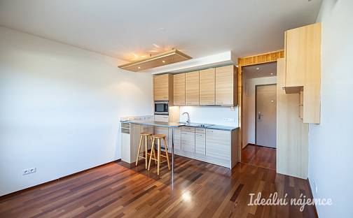 Pronájem bytu 1+kk 22 m², Podnádražní, Praha 9 - Vysočany