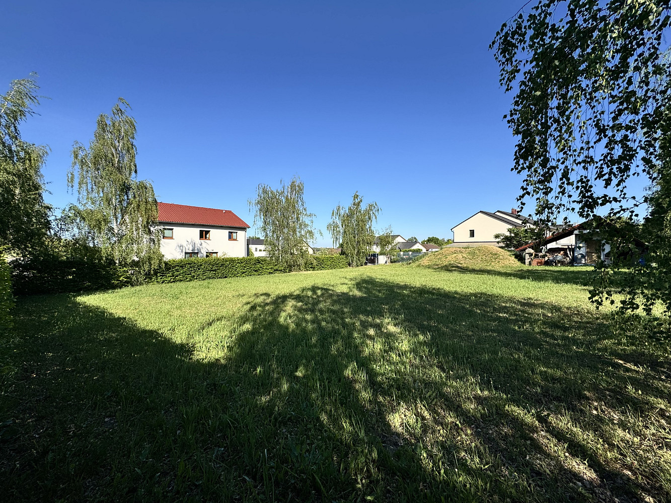 Fotka 8 z 10