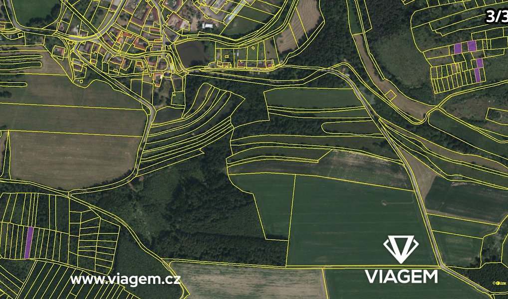 Prodej lesa 12 665 m², Radkovice u Budče – náhled fotky 12