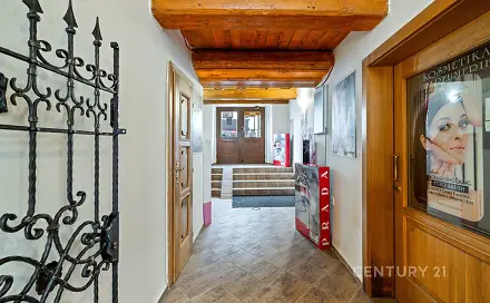 Prodej obchodních prostor 330 m², Horní Česká, Znojmo