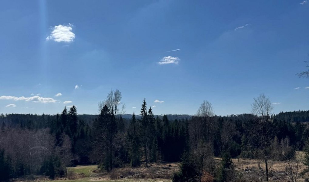 Prodej pozemku 18 432 m², Studená – náhled fotky 2