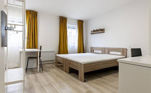 Pronájem bytu 1+kk 22 m², Václavská, Brno - Staré Brno