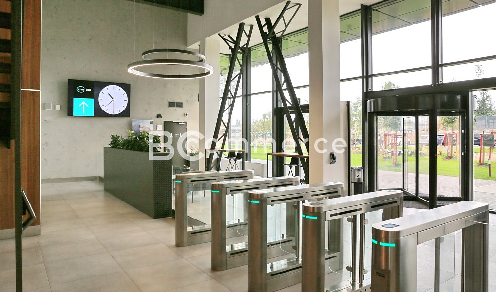 Pronájem kanceláře 150 m², Brno – náhled fotky 6