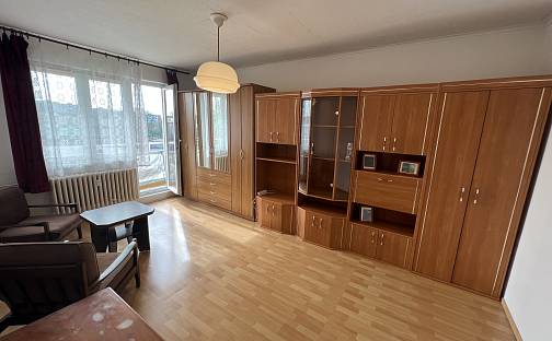 Prodej bytu 1+1 42 m²