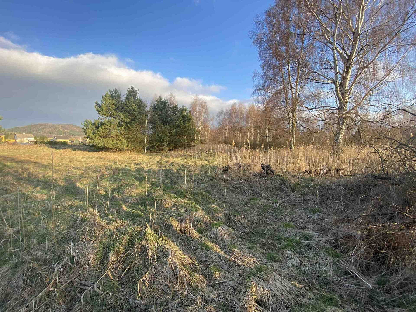 Prodej pole 2 866 m² – pohled 5