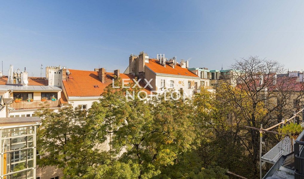 Pronájem bytu atypického 90 m², Praha – náhled fotky 14