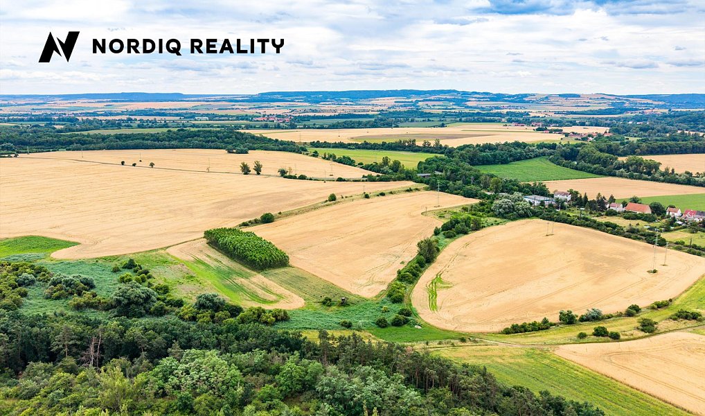 Prodej pole 7 506 m², Staňkovice – náhled fotky 12