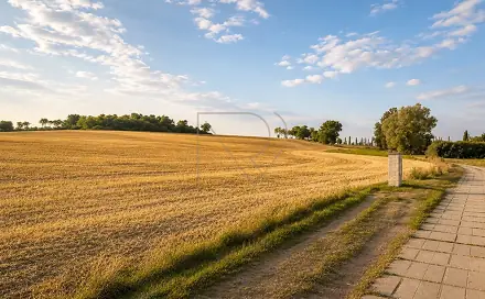 Prodej stavebního pozemku 61 763 m², Husova, Kutná Hora - Žižkov