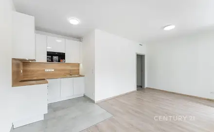 Pronájem bytu 1+kk 36 m²