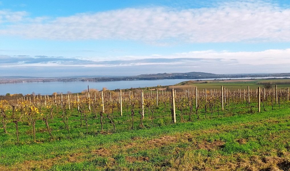 Prodej pozemku 9 794 m², Pavlov – náhled fotky 2