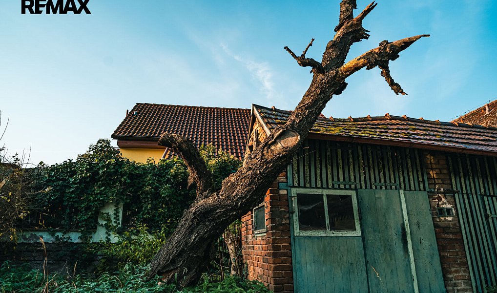 Prodej domu 70 m² s pozemkem 712 m², Těchlovice – náhled fotky 10