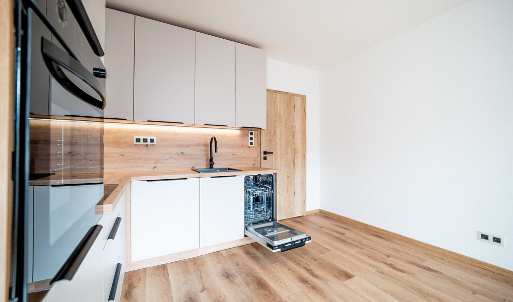 Prodej bytu 3+kk 47 m², Plzeň – náhled fotky 3