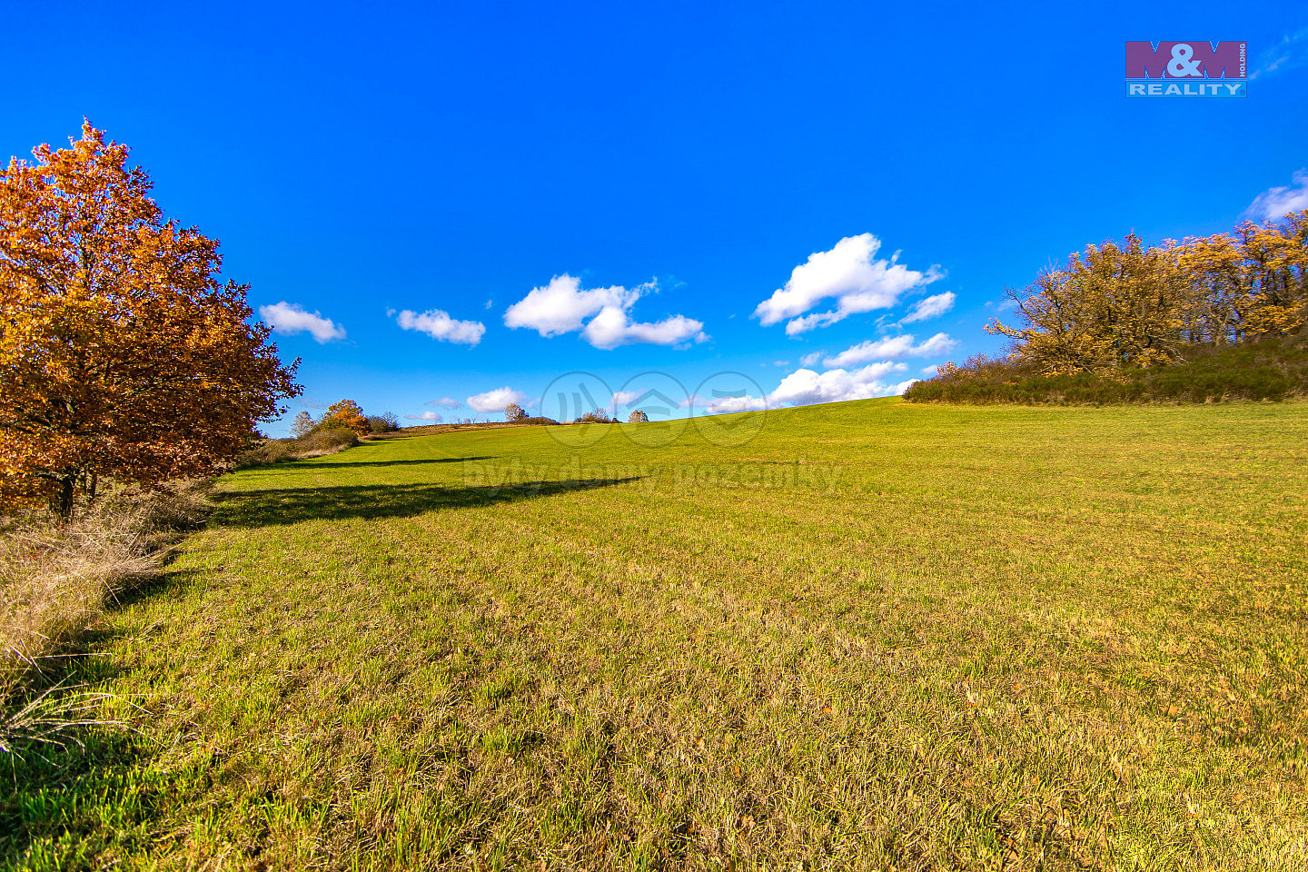 Prodej pole 6 484 m²