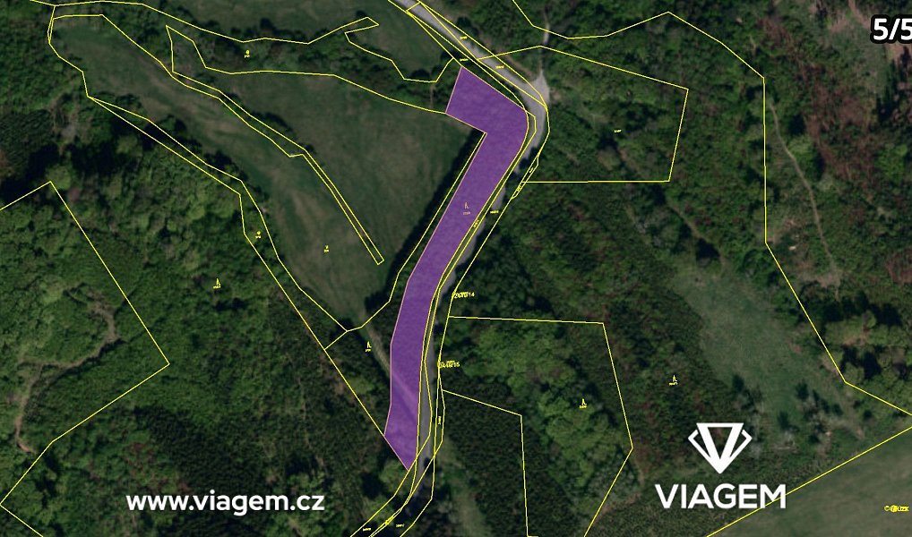 Prodej lesa 3 318 m², Bojkovice – náhled fotky 20