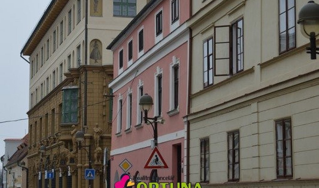 Prodej obchodních prostor 1 563 m², České Budějovice – náhled fotky 3