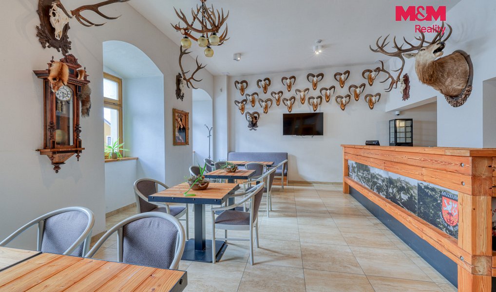 Prodej domu 1 250 m² s pozemkem 2 106 m², Manětín – náhled fotky 8