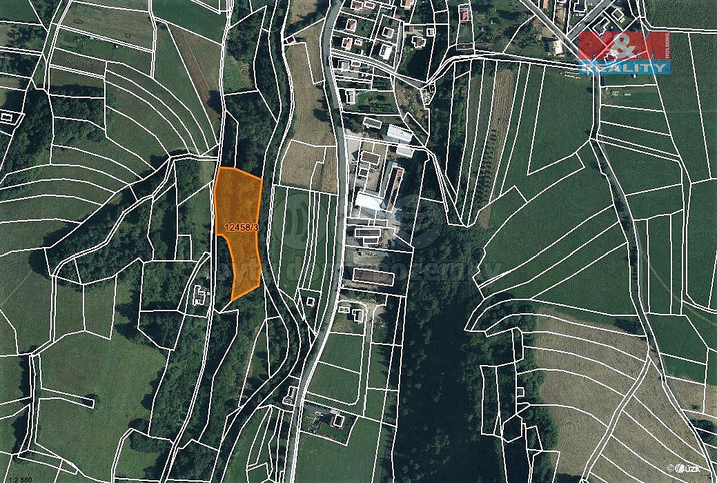 Prodej lesa 5 225 m² — photo 4