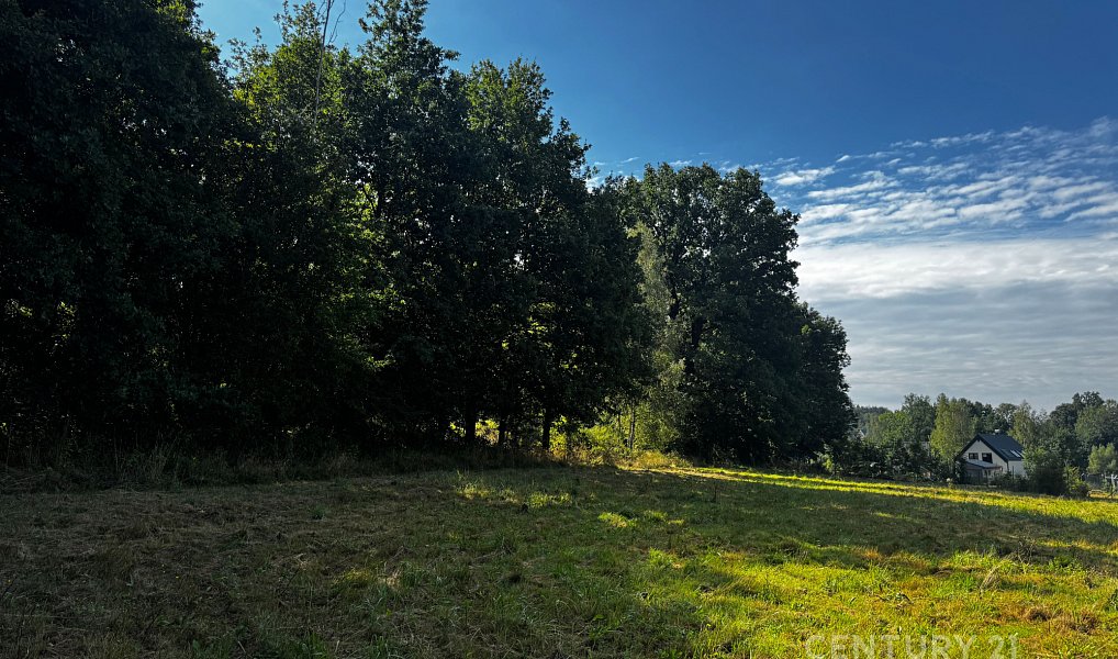 Prodej stavebního pozemku 1 360 m², Oldřichov v Hájích – náhled fotky 3
