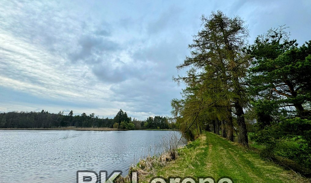 Prodej louky 5 265 m², Radostín nad Oslavou – náhled fotky 7