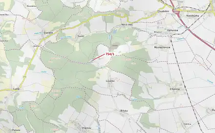 Dražba lesa 1 610 m², Loučka
