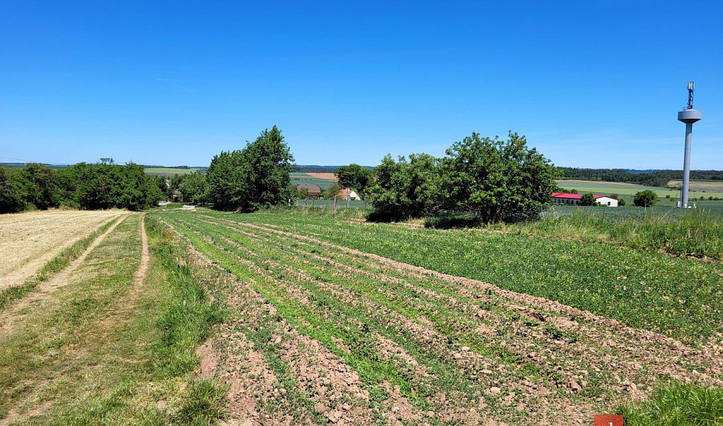 Prodej stavebního pozemku 1 399 m², Chrášťany – náhled fotky 3