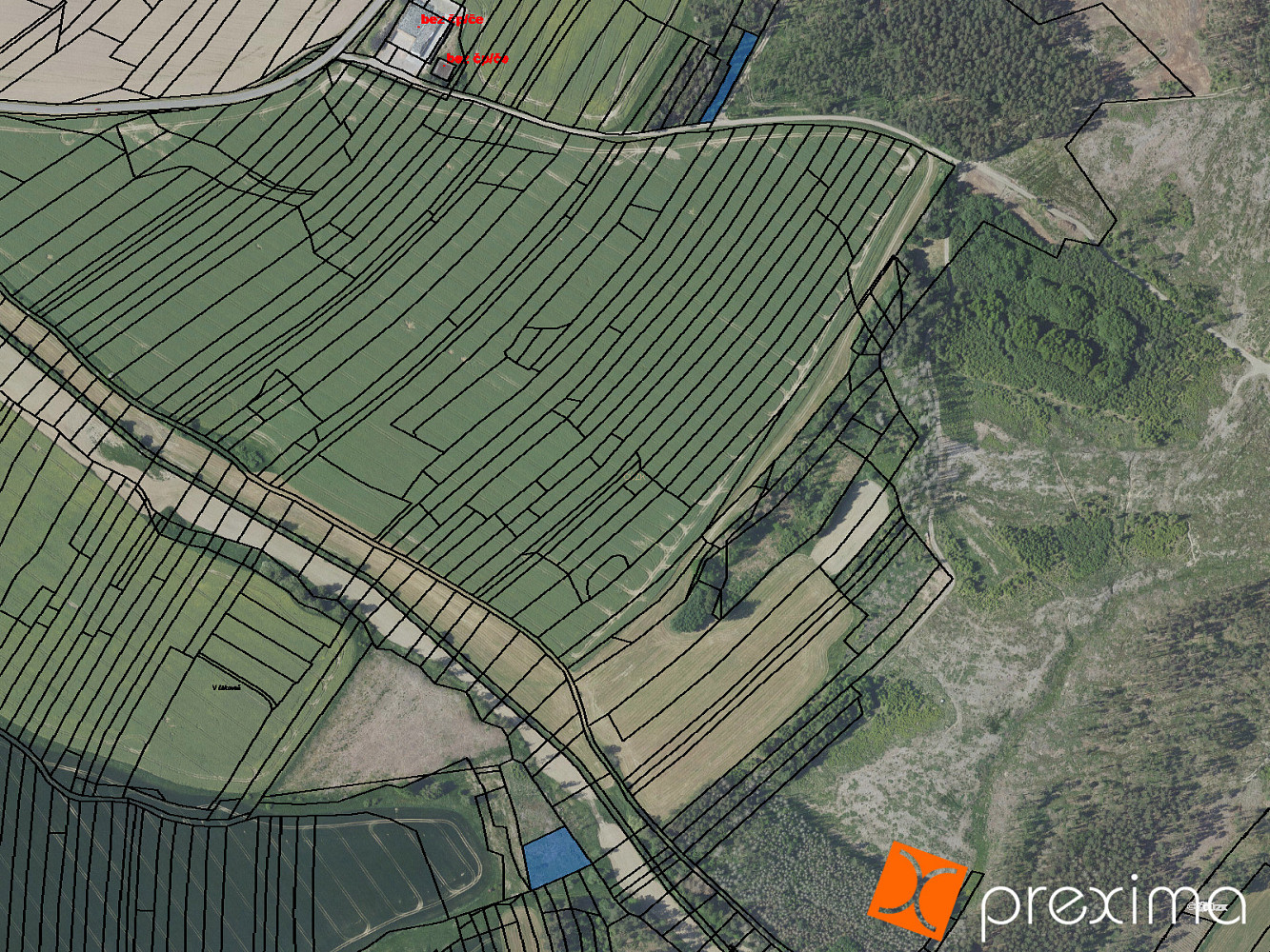 Prodej lesa 5 707 m² – fotografie 3