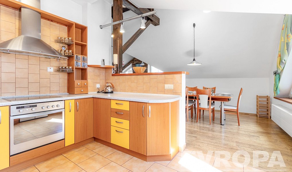 Prodej domu 375 m² s pozemkem 772 m², Nové Město na Moravě – náhled fotky 10