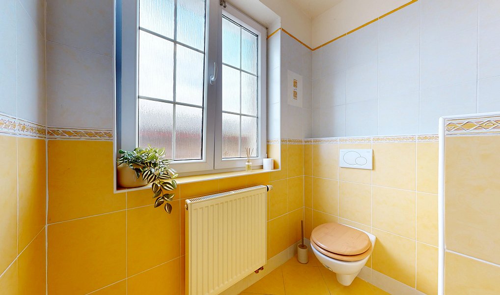 Prodej domu 225 m² s pozemkem 807 m², Bašť – náhled fotky 17