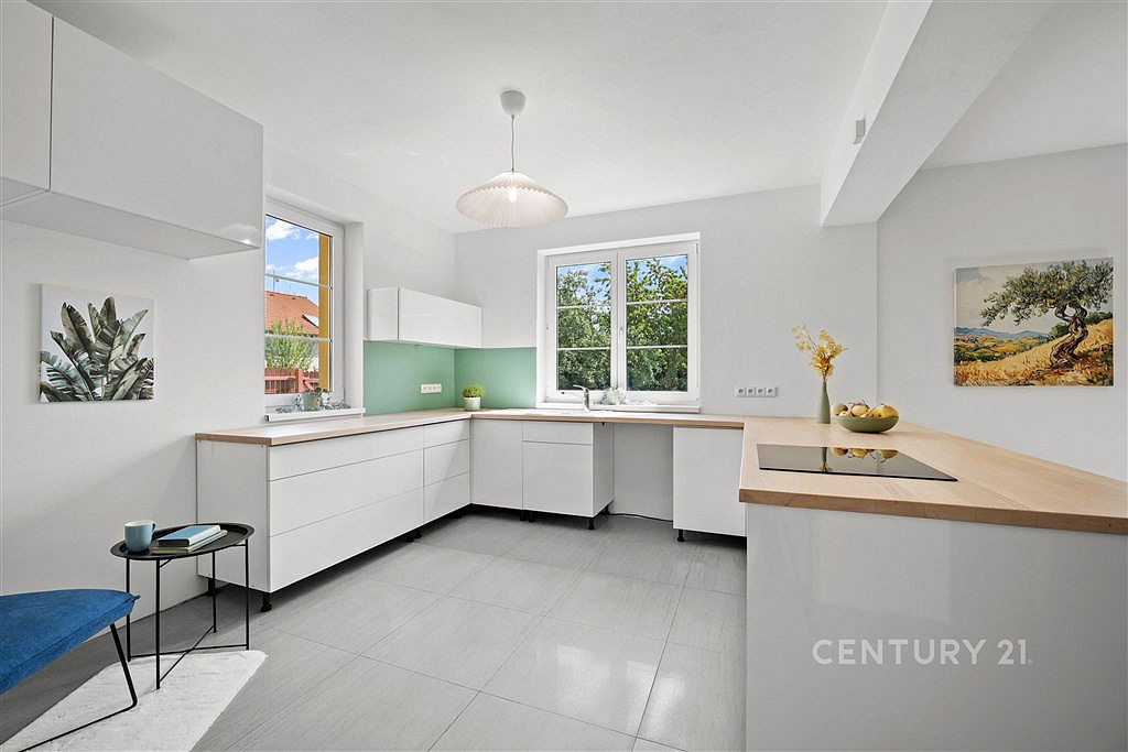 Prodej domu 252 m² s pozemkem 843 m² – další