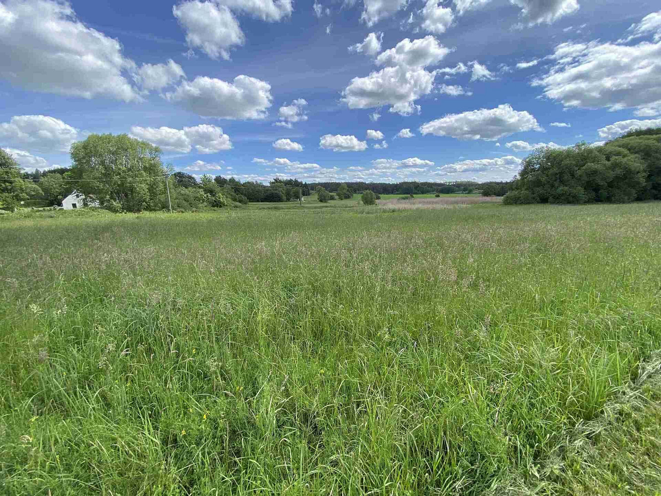 Prodej stavebního pozemku 3 058 m² – fotografie 3