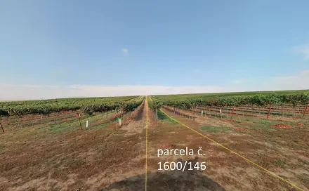 Prodej pole 5 465 m², Terezín, okres Hodonín