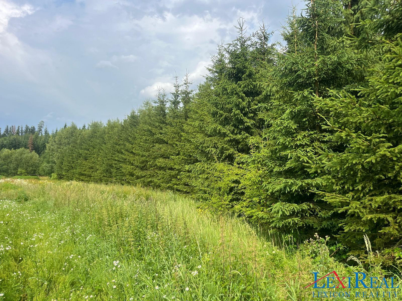 Prodej lesa 15 237 m² — photo 4